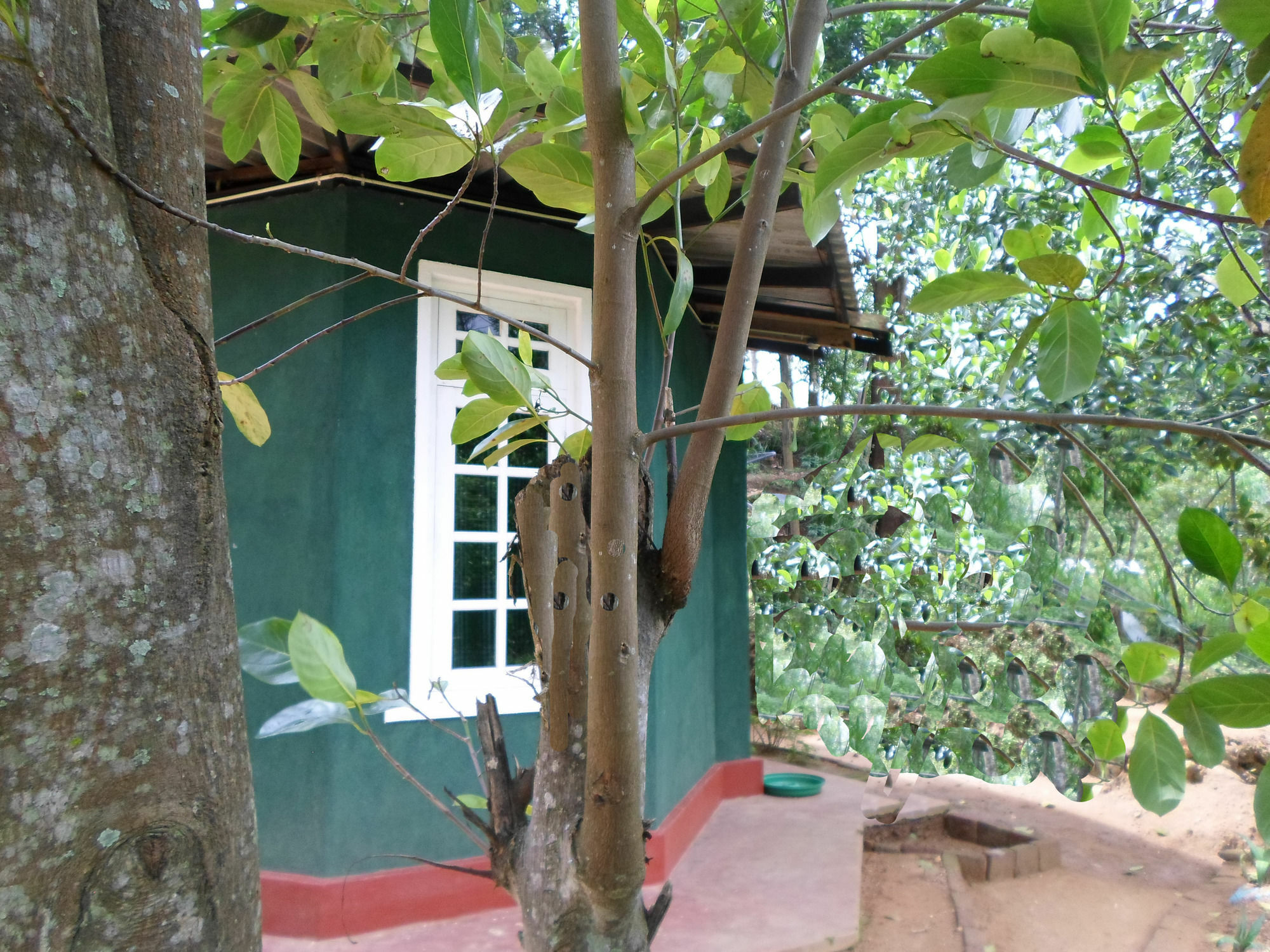 Green Lantern Ella Exterior photo